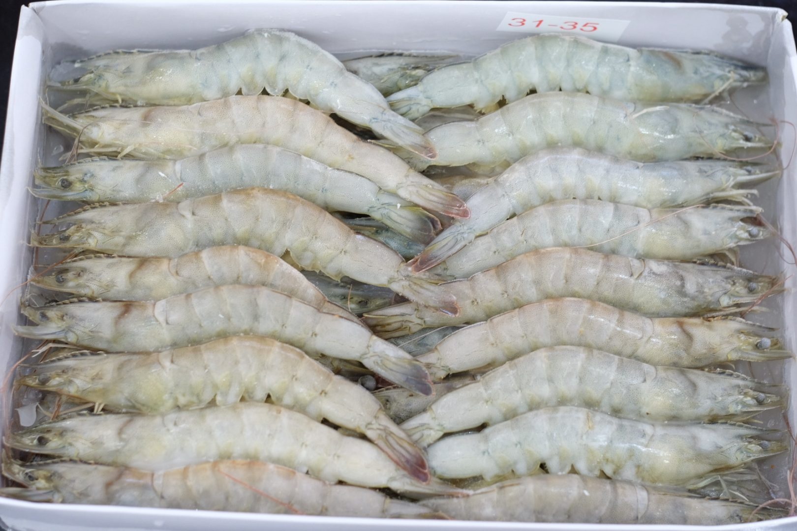 https://dragon-vietnam.com/tom the_1585277741